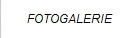 FOTOGALERIE