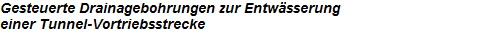 Gesteuerte Drainagebohrungen zur Entw�sserung
einer Tunnel-Vortriebsstrecke