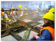 Grobreinigung der geborgenen Archivalien