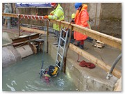 Areitstaucher in der Bergungsbaugrube