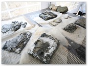 Geborgene Archivalien vor der Vorreinigung